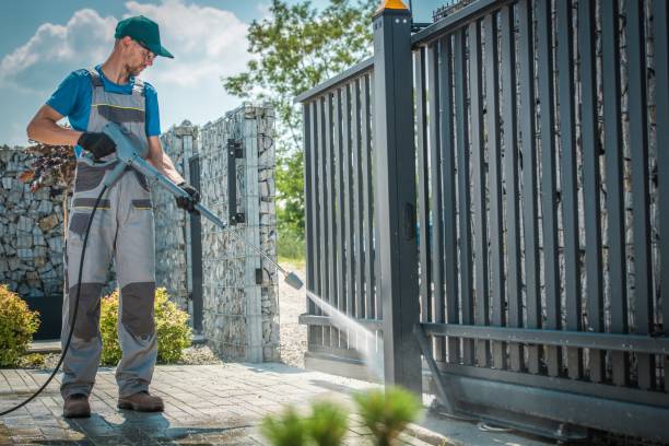 Best Solar Panel Cleaning  in Haines City, FL