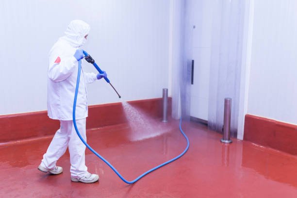 Best Factory Floor Cleaning  in Haines City, FL